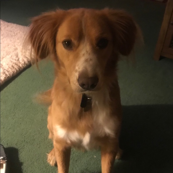 Meet your Posher, Kari - Picture 2 of 2